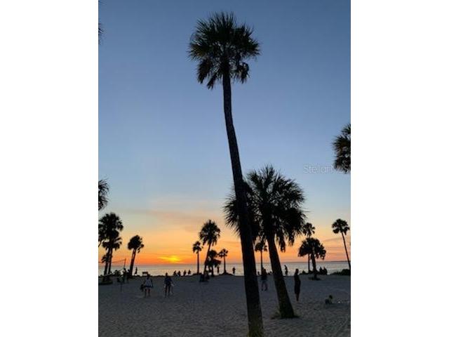 46 Drury Lane Tarpon Springs FL 34689 TB8447903 image81