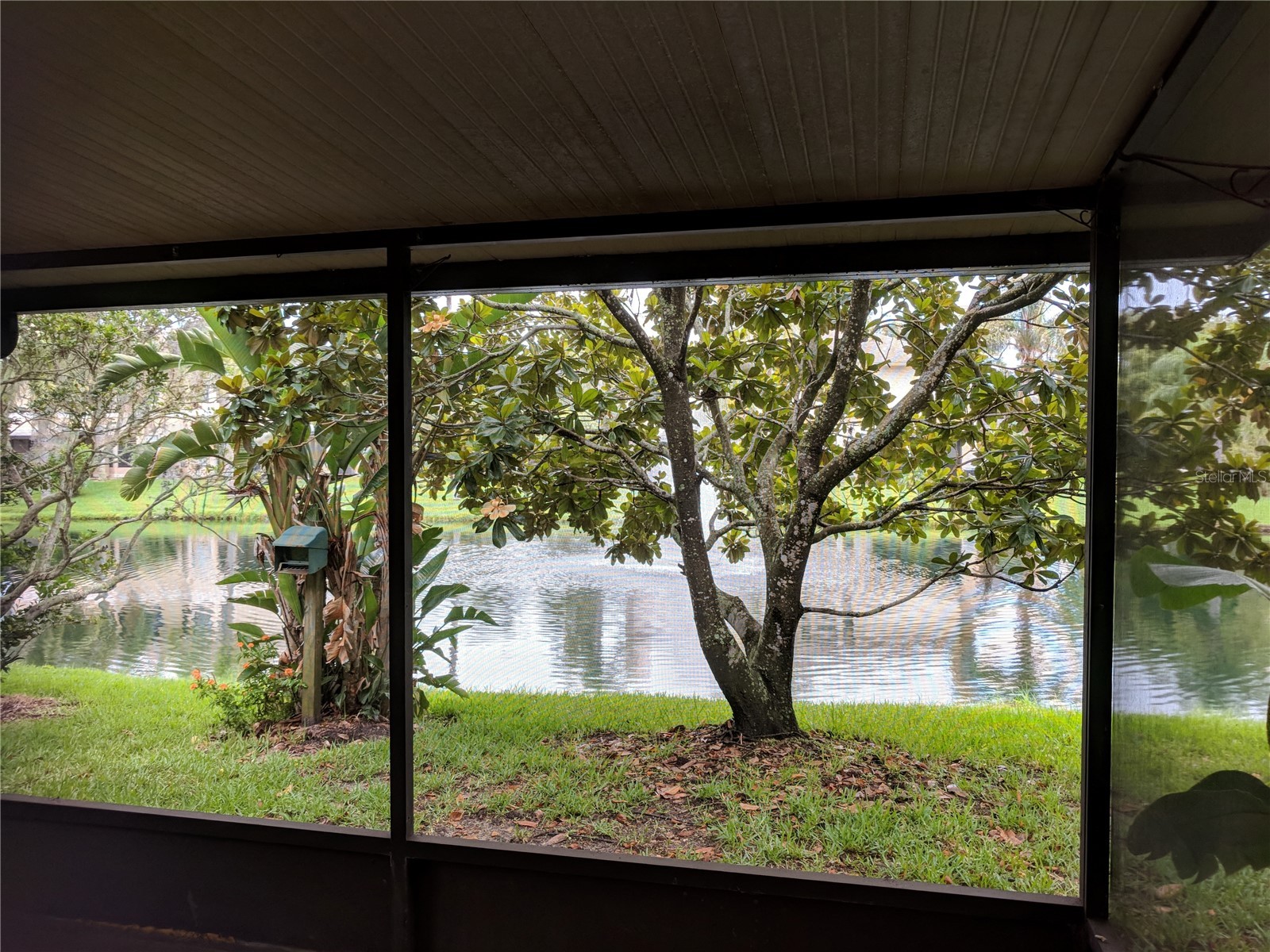 46 Emerald Bay Drive Oldsmar FL 34677 TB8515138 image18