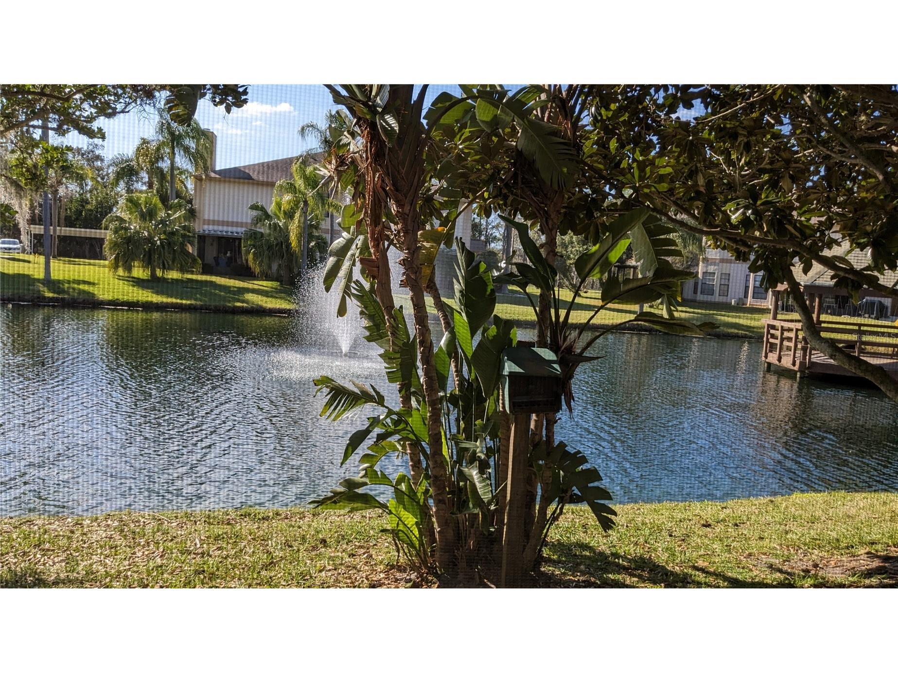 46 Emerald Bay Drive Oldsmar FL 34677 TB8515138 image19