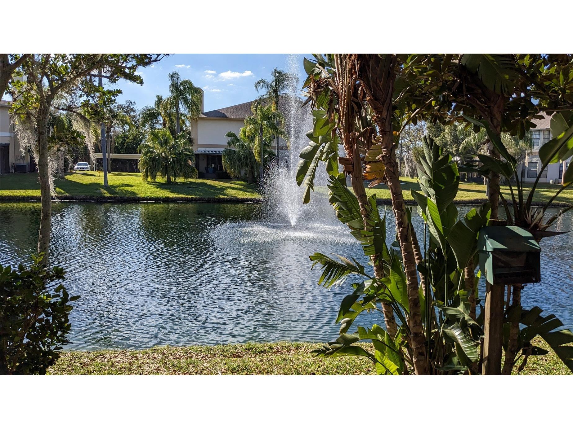 46 Emerald Bay Drive Oldsmar FL 34677 TB8515138 image20