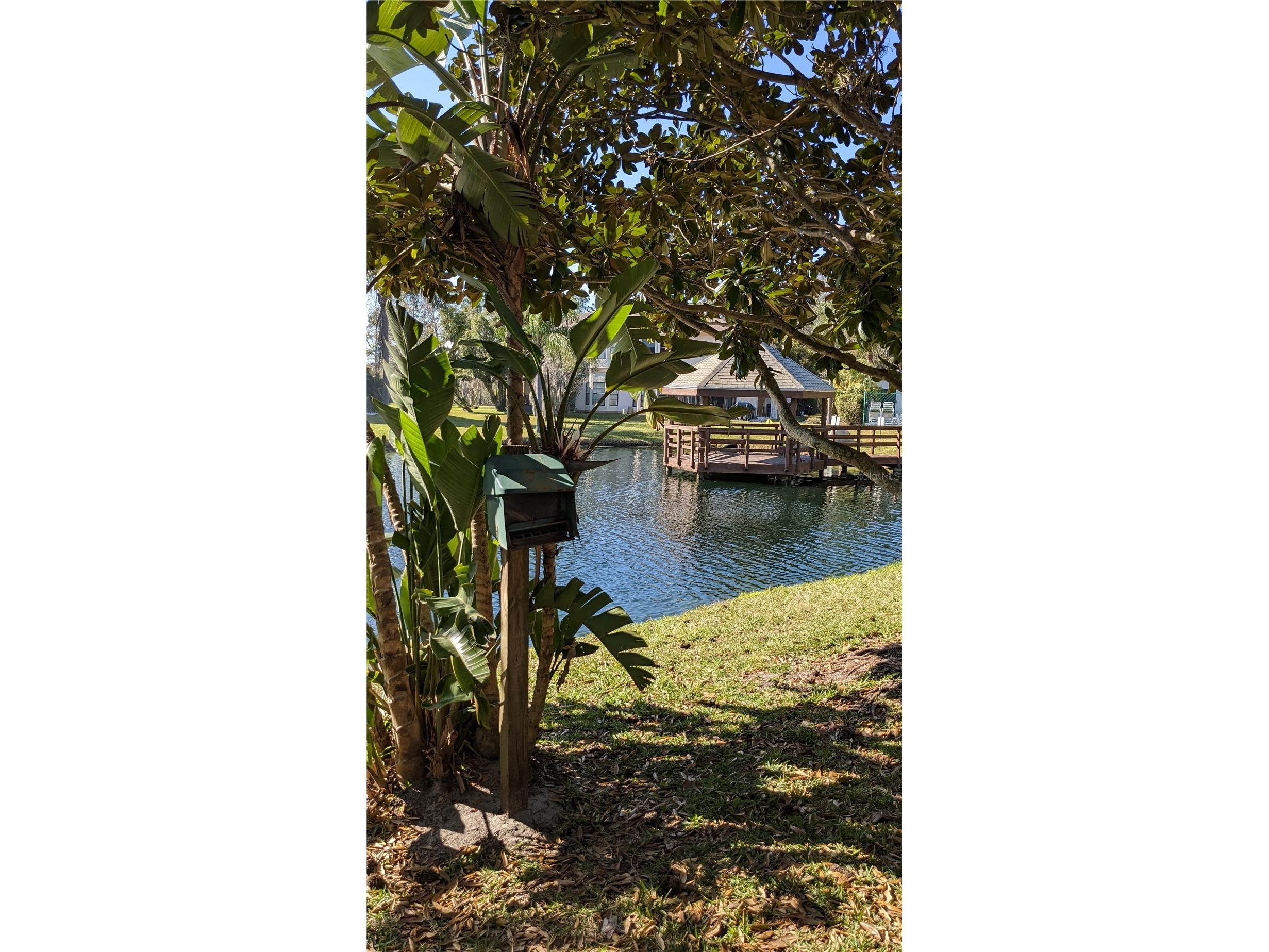 46 Emerald Bay Drive Oldsmar FL 34677 TB8515138 image21