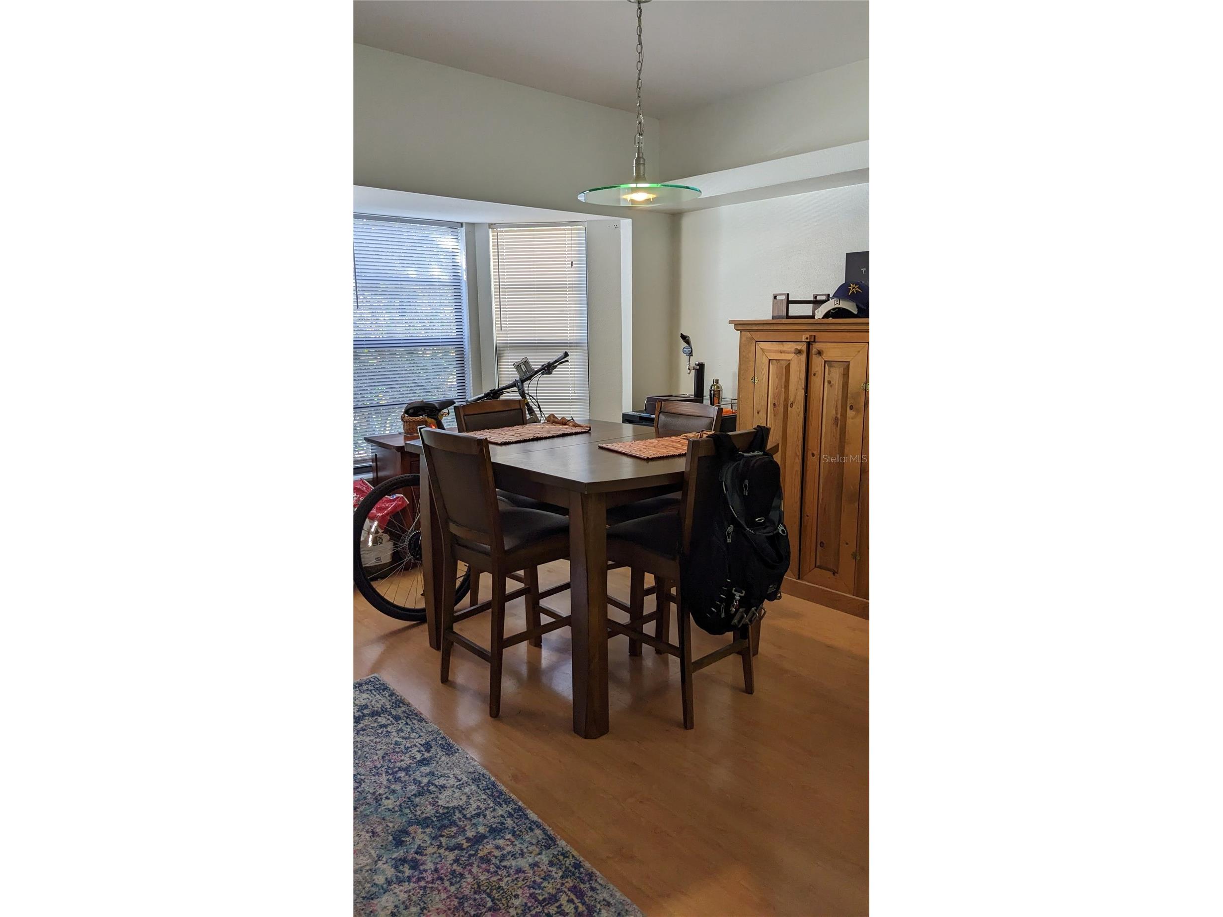 46 Emerald Bay Drive Oldsmar FL 34677 TB8515138 image6