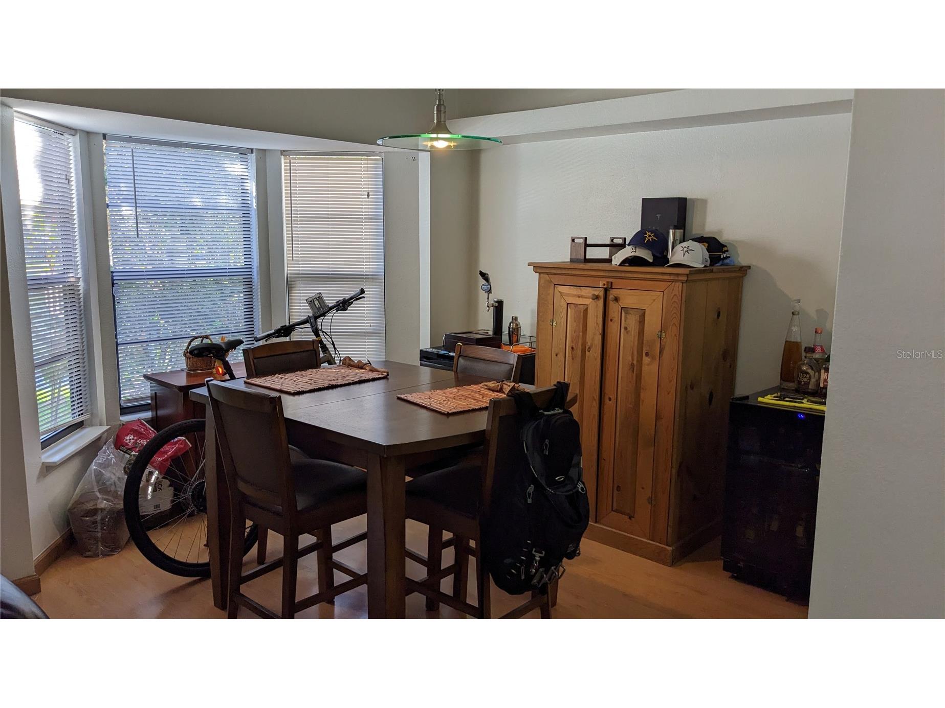 46 Emerald Bay Drive Oldsmar FL 34677 TB8515138 image8