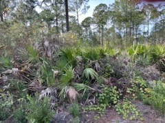 46 Erma Avenue Debary FL 32713 V4933633 image1