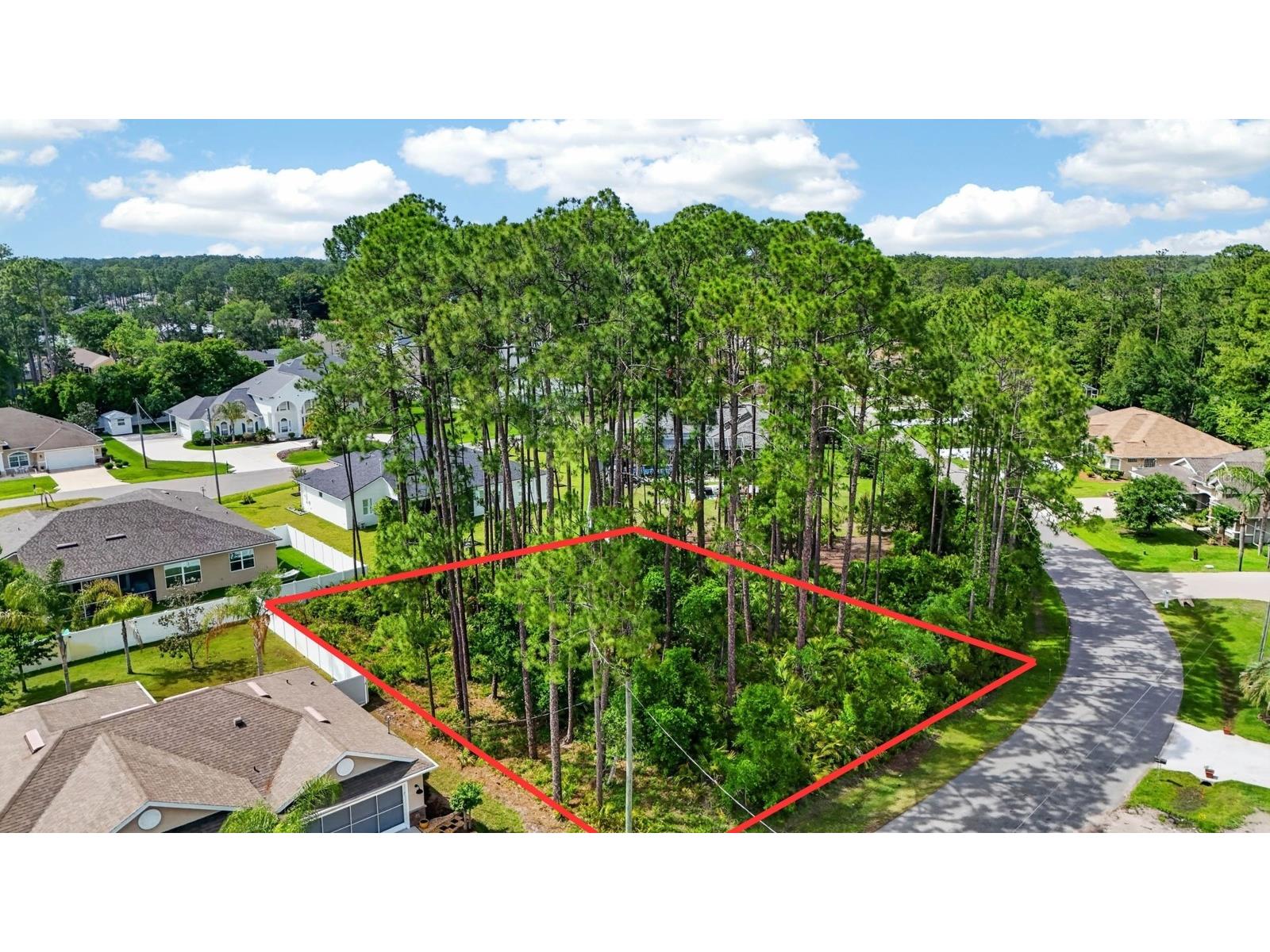 46 Evans Drive Palm Coast FL 32164 FC318356 image12