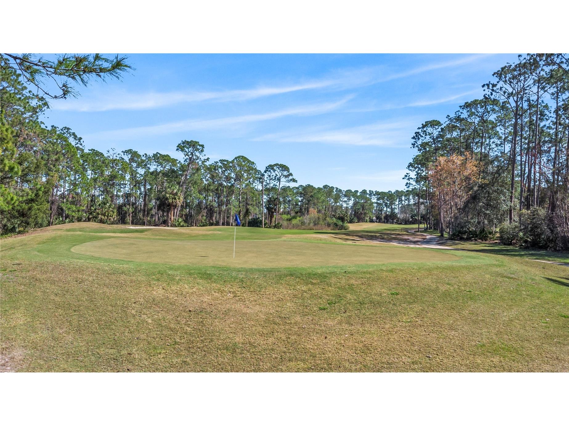 46 Evans Drive Palm Coast FL 32164 FC318356 image23