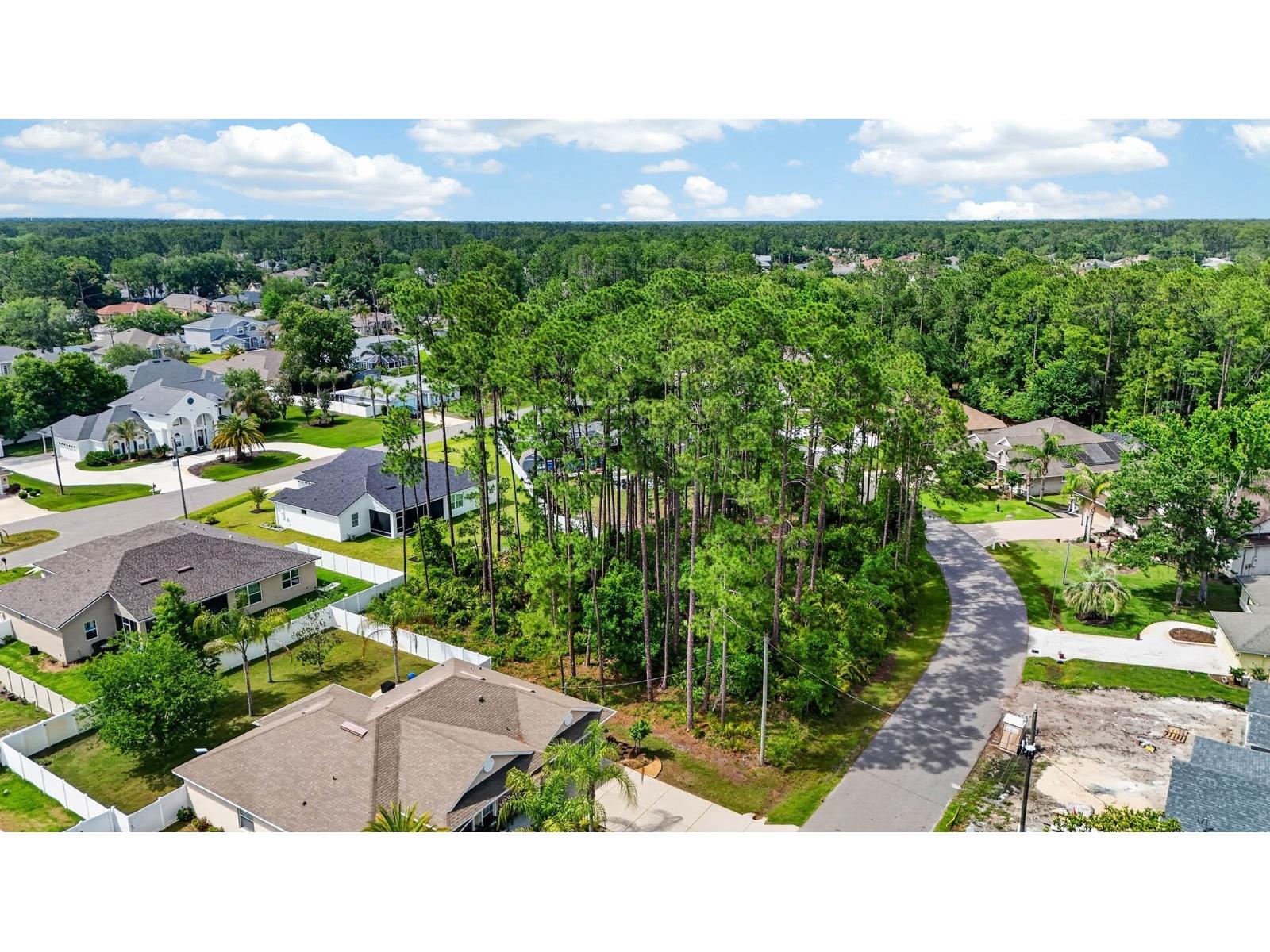 46 Evans Drive Palm Coast FL 32164 FC318356 image3