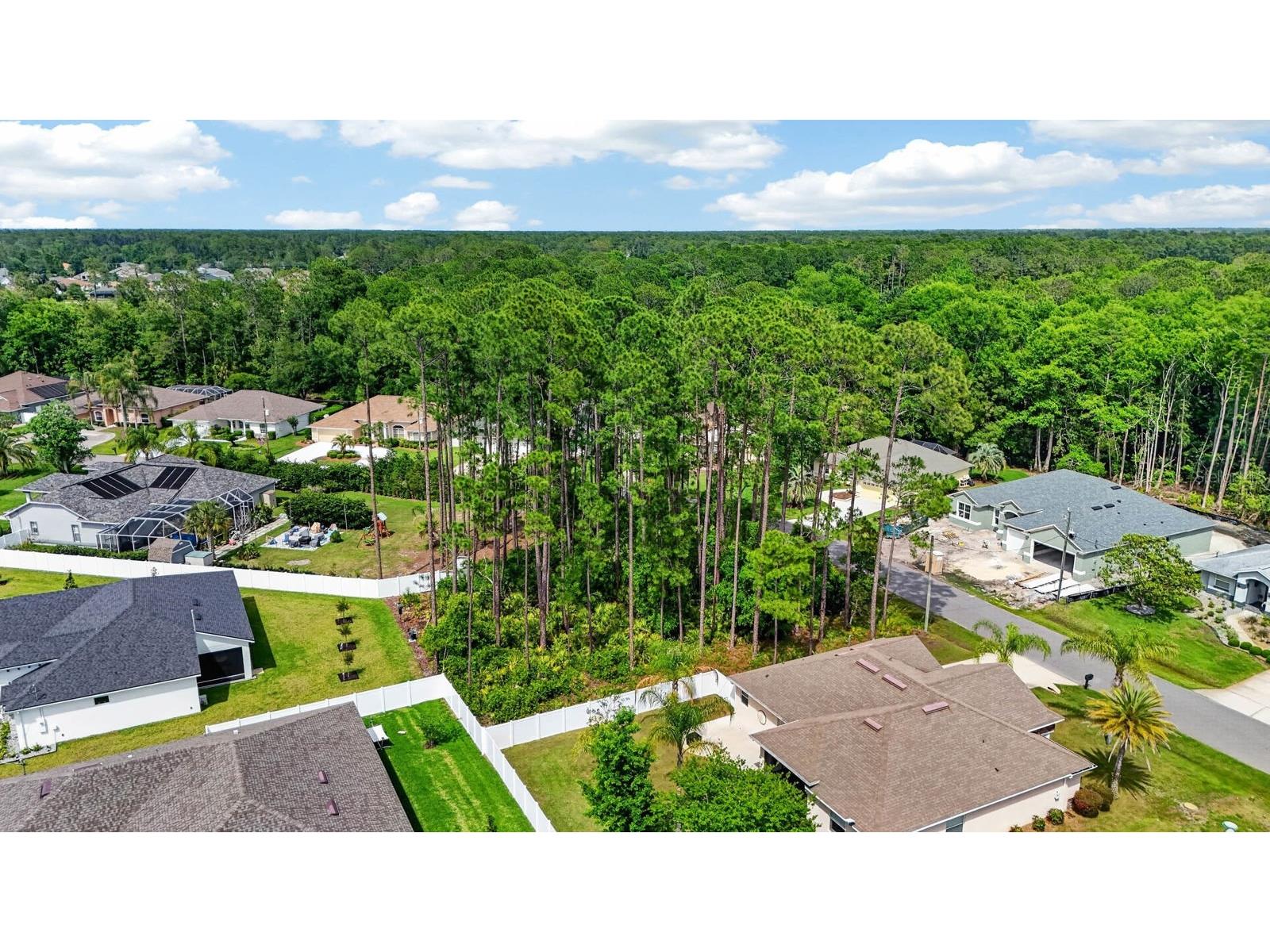 46 Evans Drive Palm Coast FL 32164 FC318356 image5
