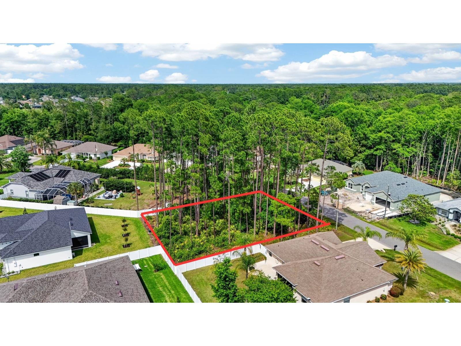 46 Evans Drive Palm Coast FL 32164 FC318356 image6