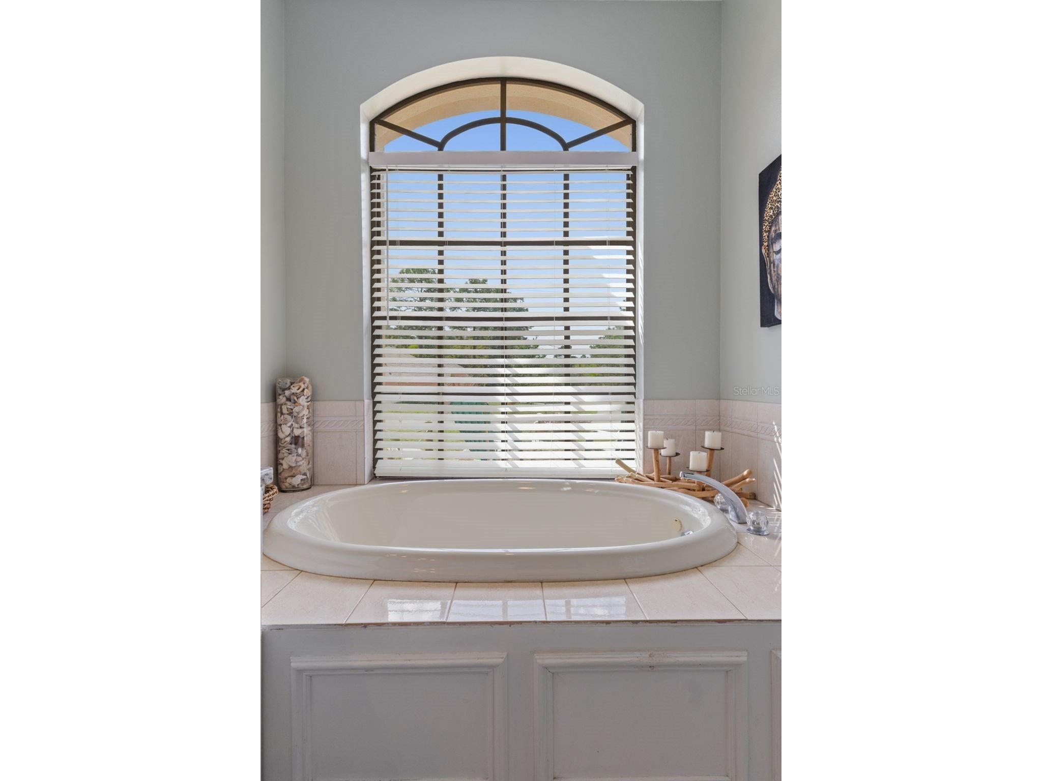 46 Fringetree Street Homosassa FL 34446 TB8489137 image30