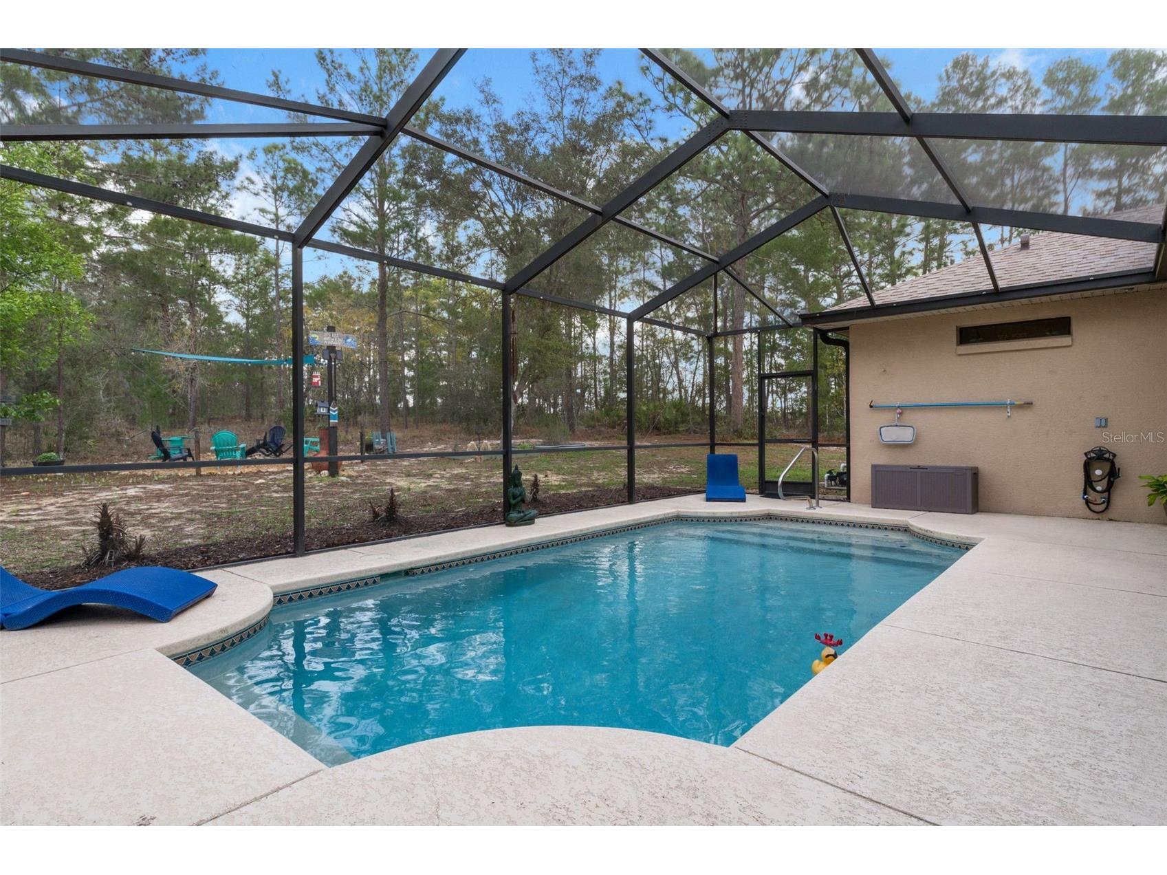 46 Fringetree Street Homosassa FL 34446 TB8489137 image47