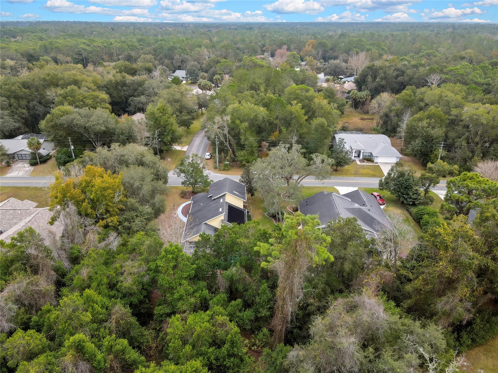 46 Greentree Street Homosassa FL 34446 W7883350 image47