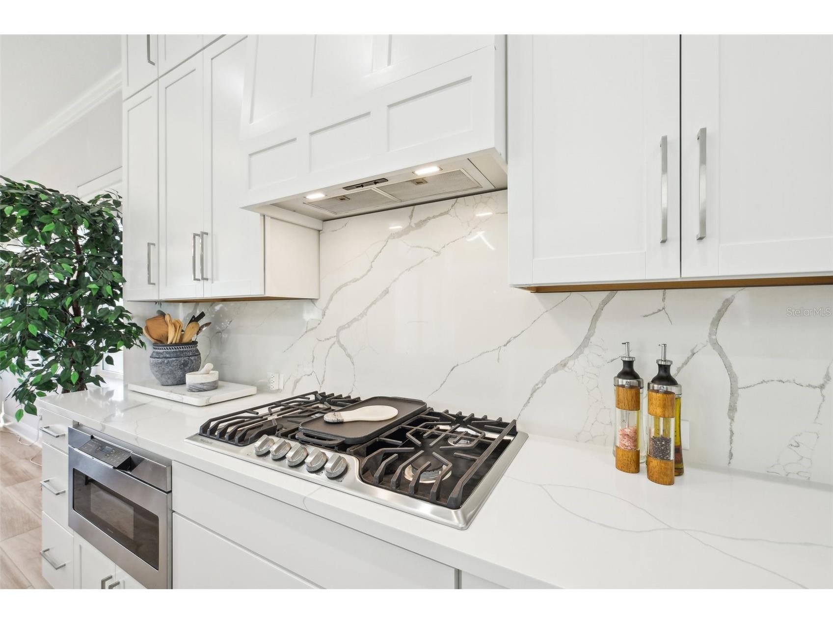 46 Iris Creek Drive Saint Augustine FL 32092 FC317212 image14