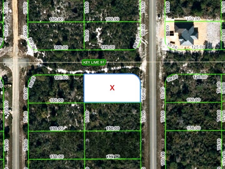 46 Marshall Avenue Lake Placid FL 33852 O6184347 image1