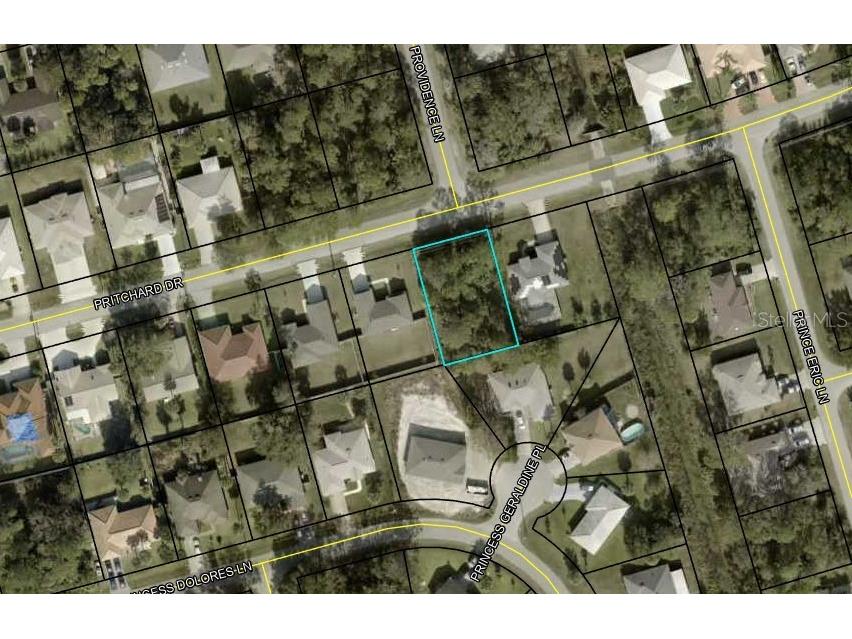 46 Pritchard Drive Palm Coast FL 32164 A4572585 image1