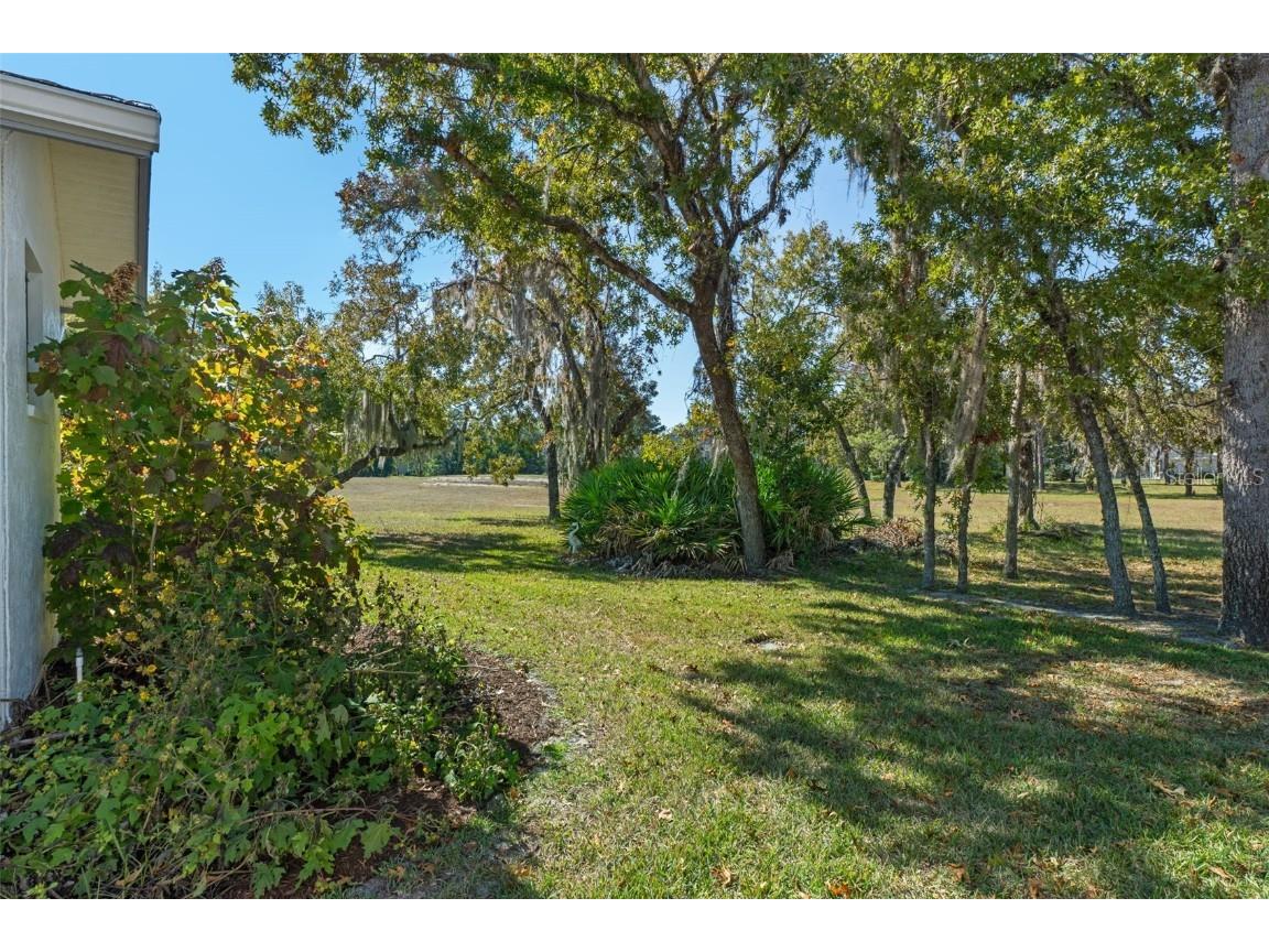 46 S Masters Drive Homosassa FL 34446 TB8349047 image40