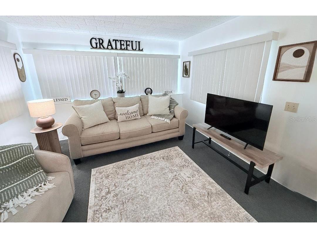 46 Washington Court #28 Palm Harbor FL 34684 - LAKE TARPON TB8362184 image19