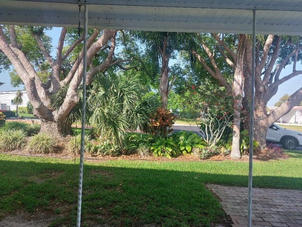 46 Washington Court #28 Palm Harbor FL 34684 - LAKE TARPON TB8362184 image6