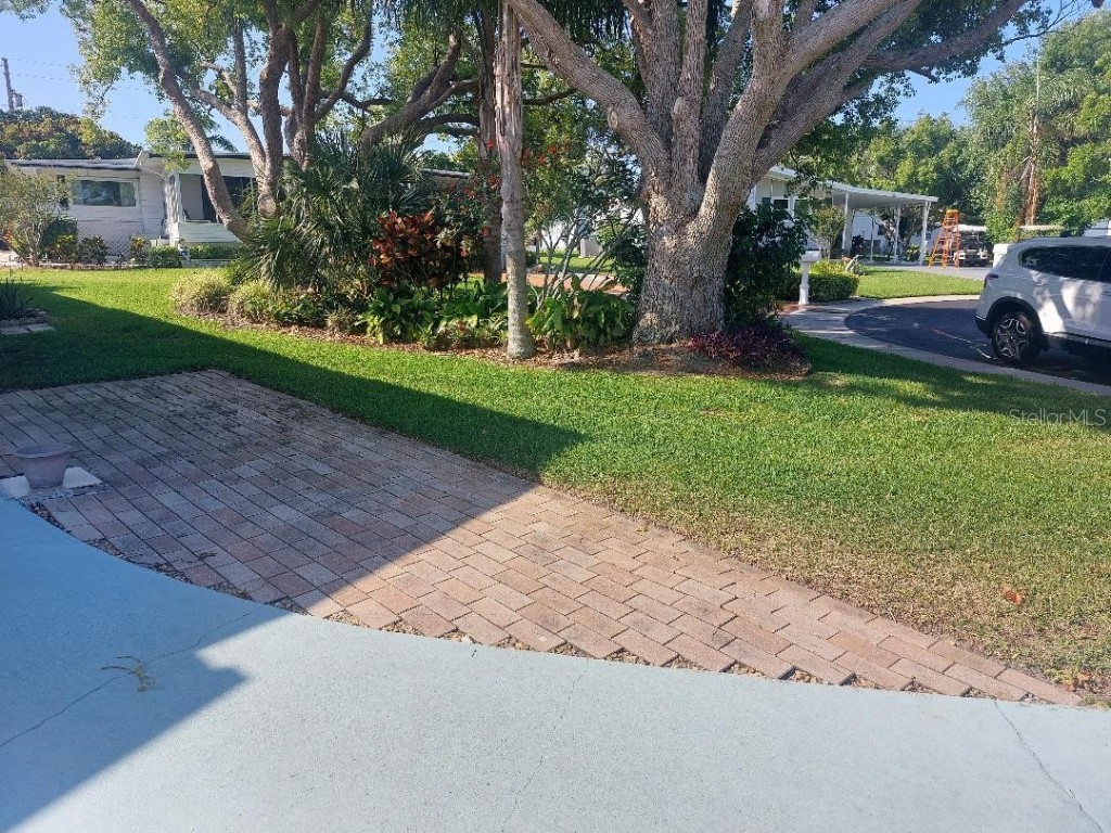 46 Washington Court #28 Palm Harbor FL 34684 - LAKE TARPON TB8362184 image7