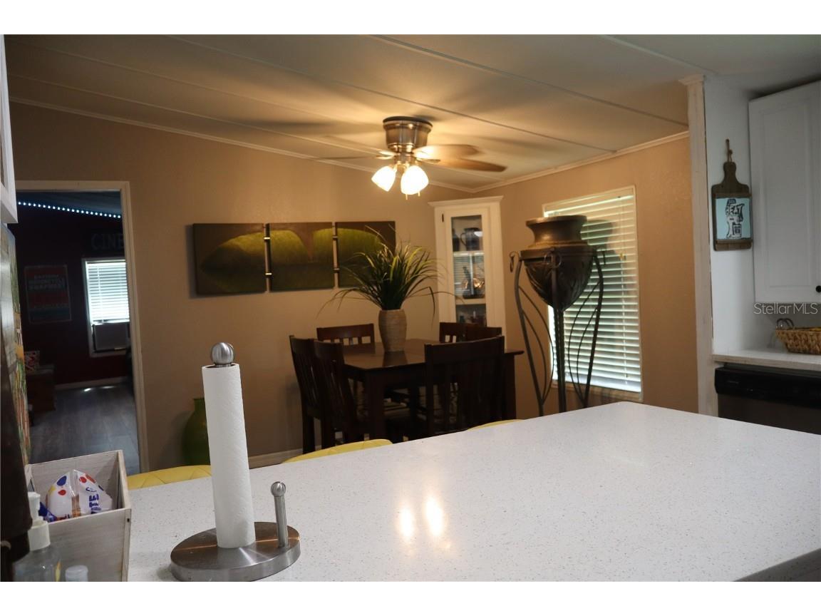 46 Wilderness Drive Lake Panasoffkee FL 33538 - LAKE PANASOFFKEE OUTLET RIVER G5099805 image20