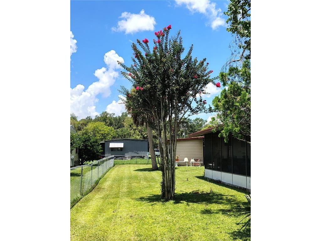 46 Wilderness Drive Lake Panasoffkee FL 33538 - LAKE PANASOFFKEE OUTLET RIVER G5099805 image5