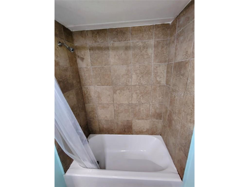 46 Wilderness Drive Lake Panasoffkee FL 33538 - LAKE PANASOFFKEE OUTLET RIVER G5099805 image53