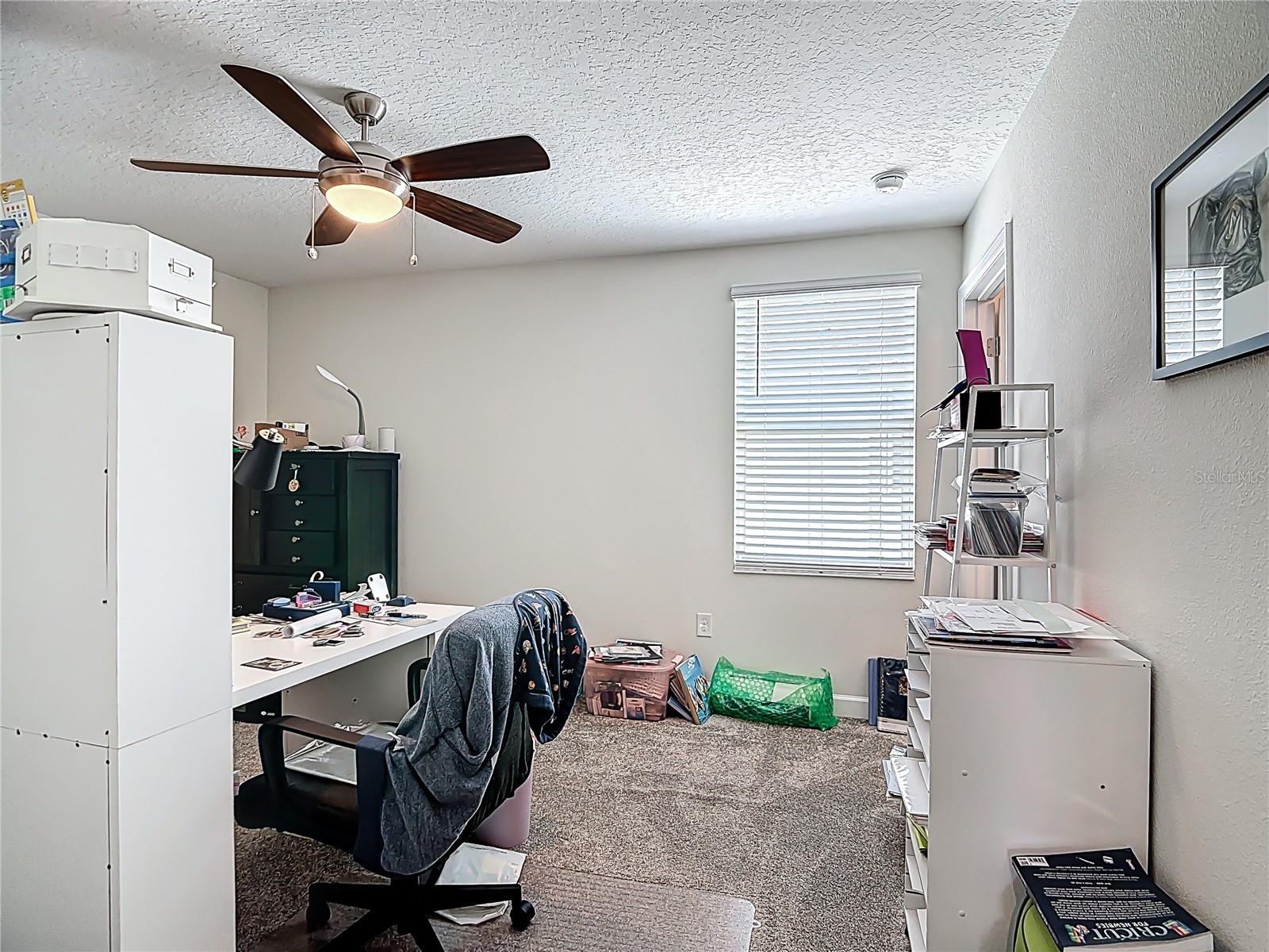 460 Brunswick Drive Davenport FL 33837 S5147096 image47