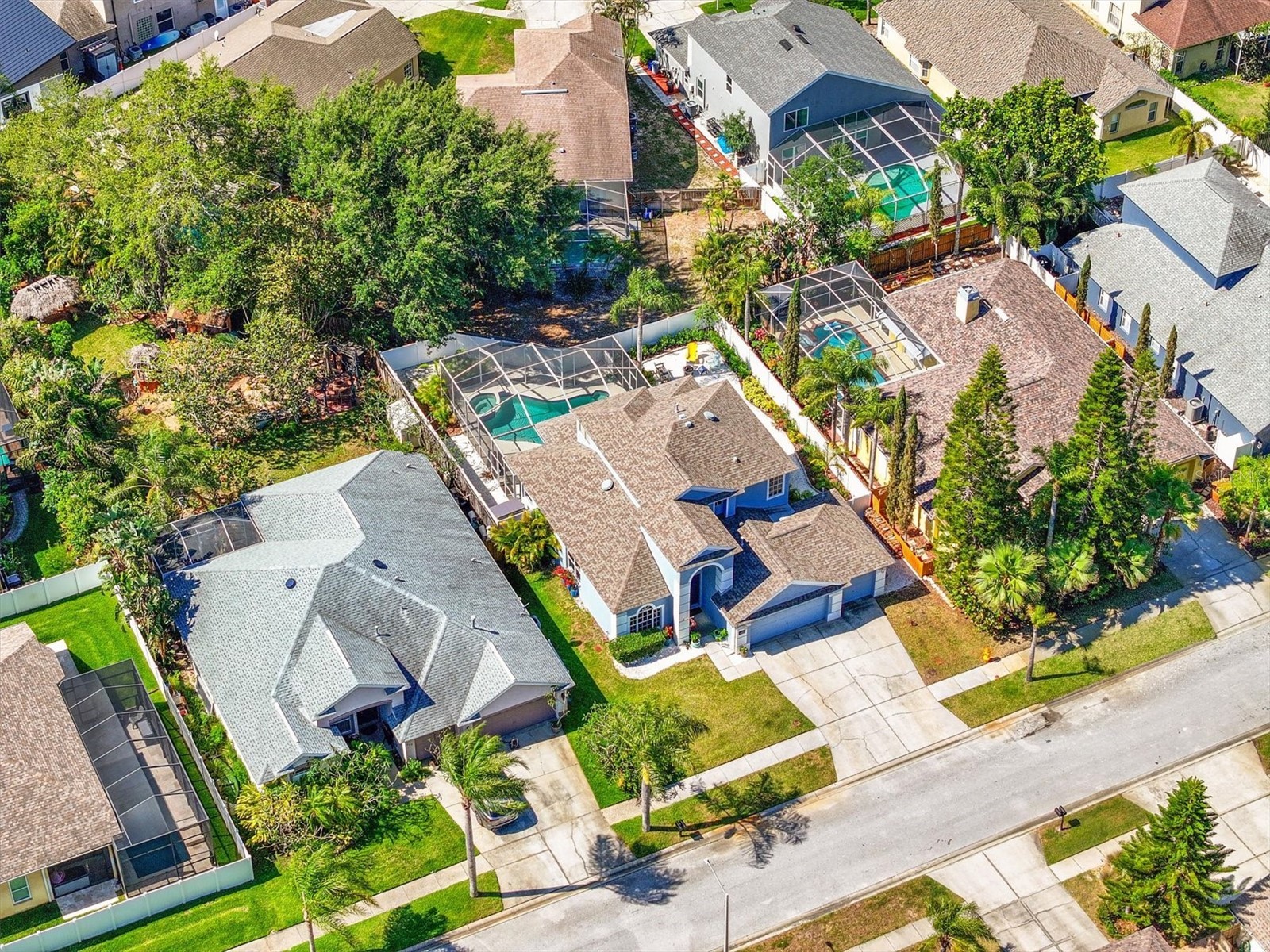 460 Denise Street Tarpon Springs FL 34689 TB8500756 image49