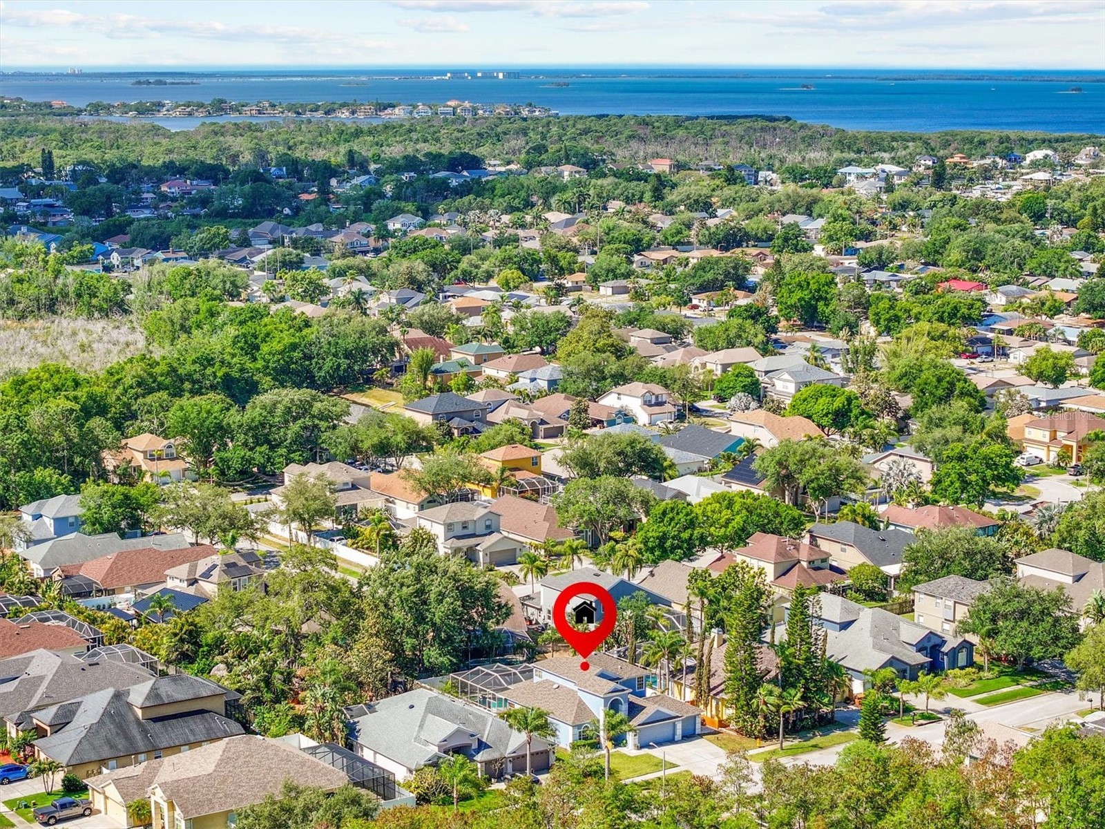 460 Denise Street Tarpon Springs FL 34689 TB8500756 image50