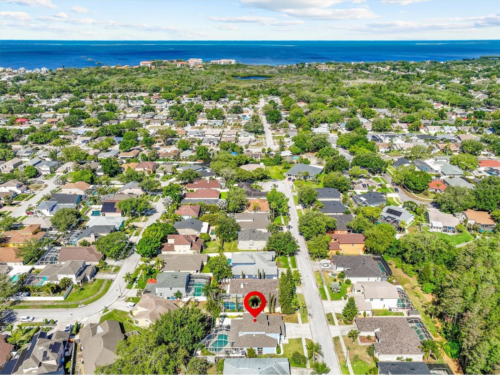 460 Denise Street Tarpon Springs FL 34689 TB8500756 image51