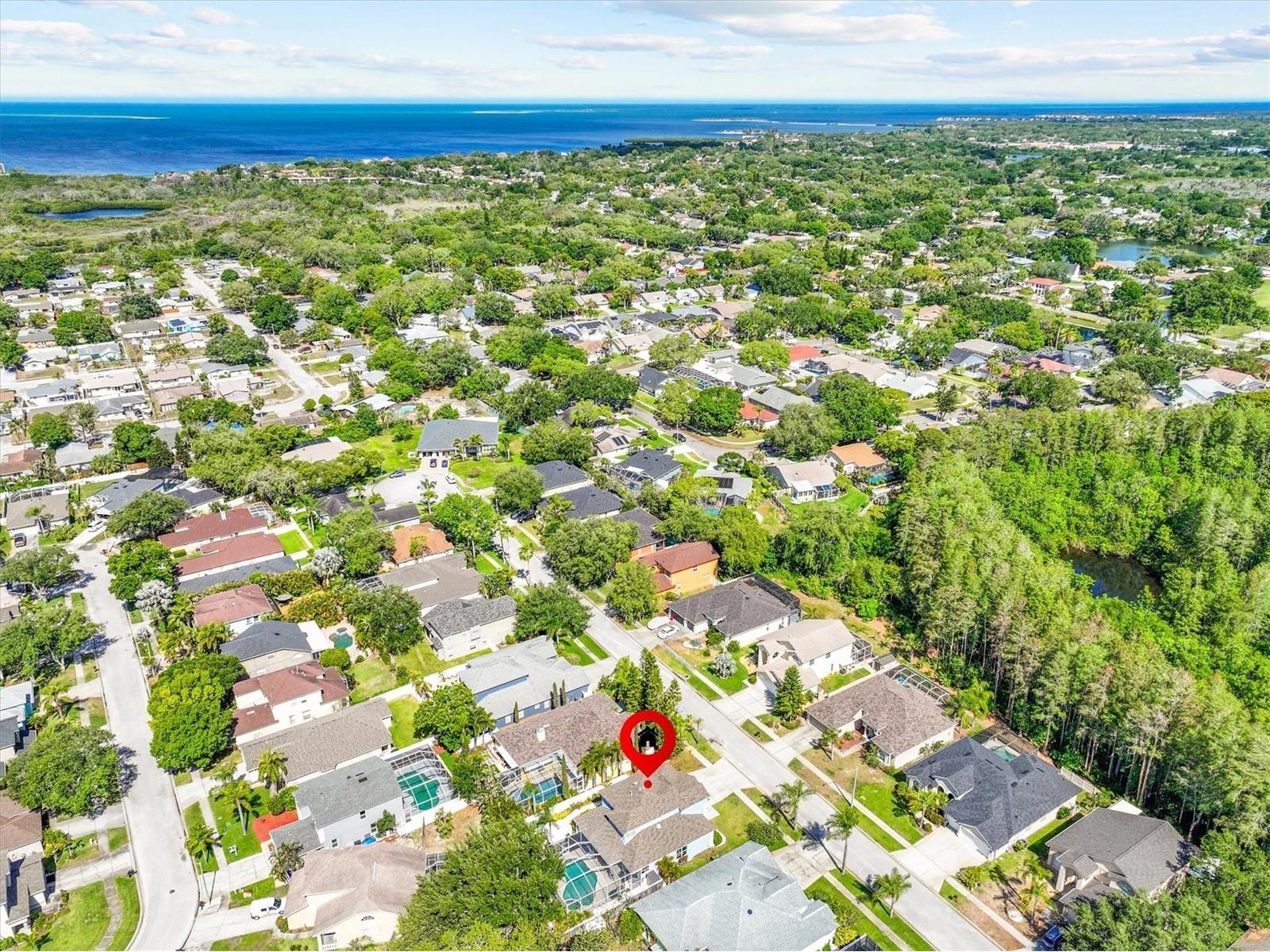 460 Denise Street Tarpon Springs FL 34689 TB8500756 image52
