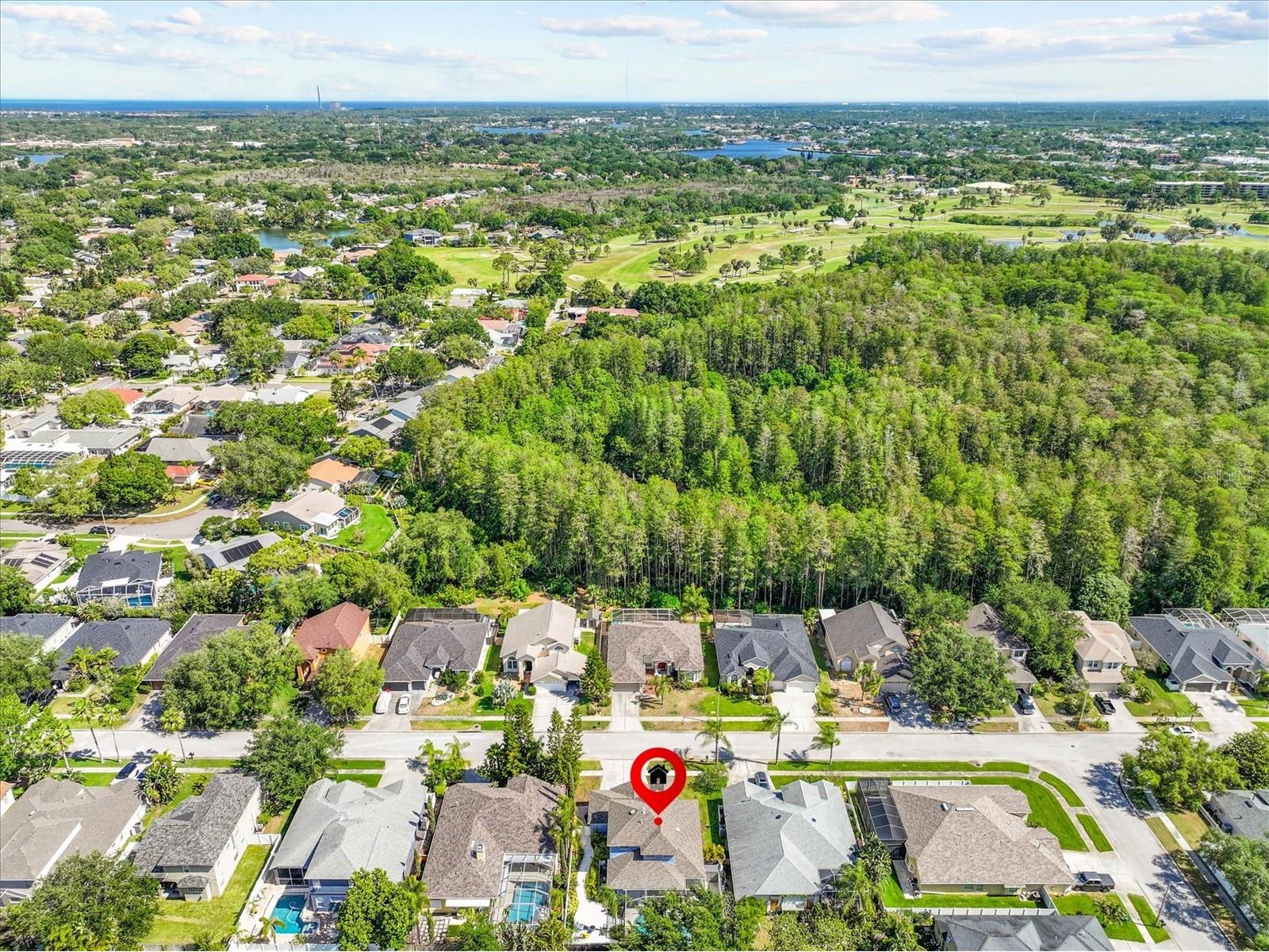460 Denise Street Tarpon Springs FL 34689 TB8500756 image53