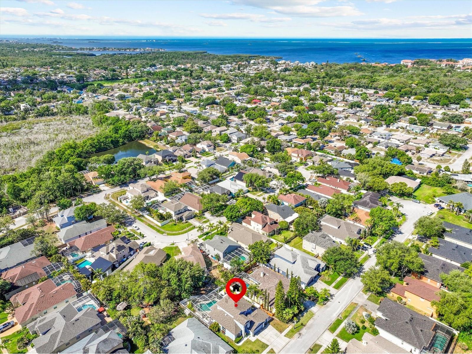 460 Denise Street Tarpon Springs FL 34689 TB8500756 image54