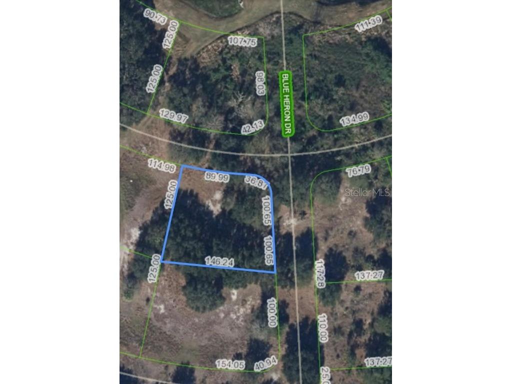 460 Foxhall Circle Sebring FL 33876 P4935778 image2