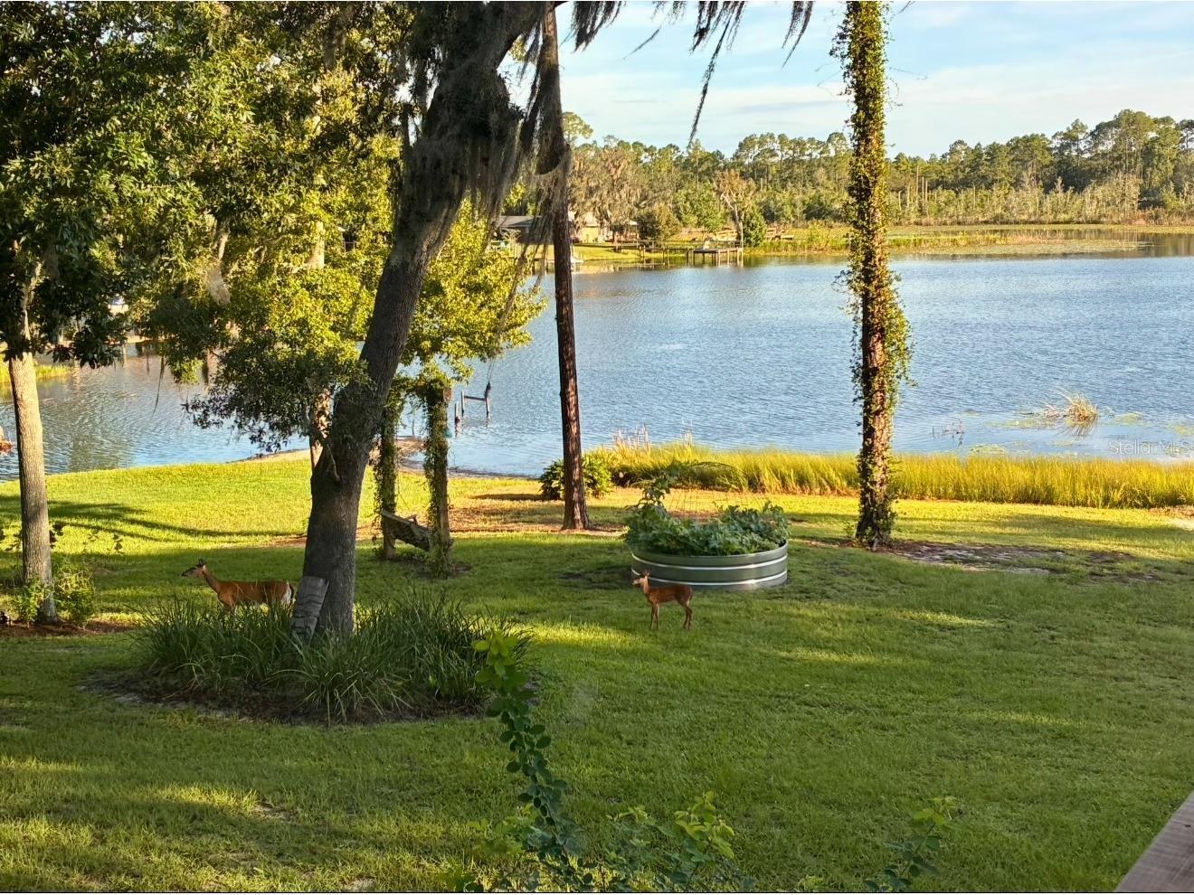 460 Lake Como Drive Pomona Park FL 32181 FC319074 image19