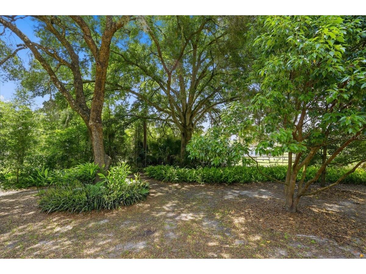 460 Lake Como Drive Pomona Park FL 32181 FC319074 image23