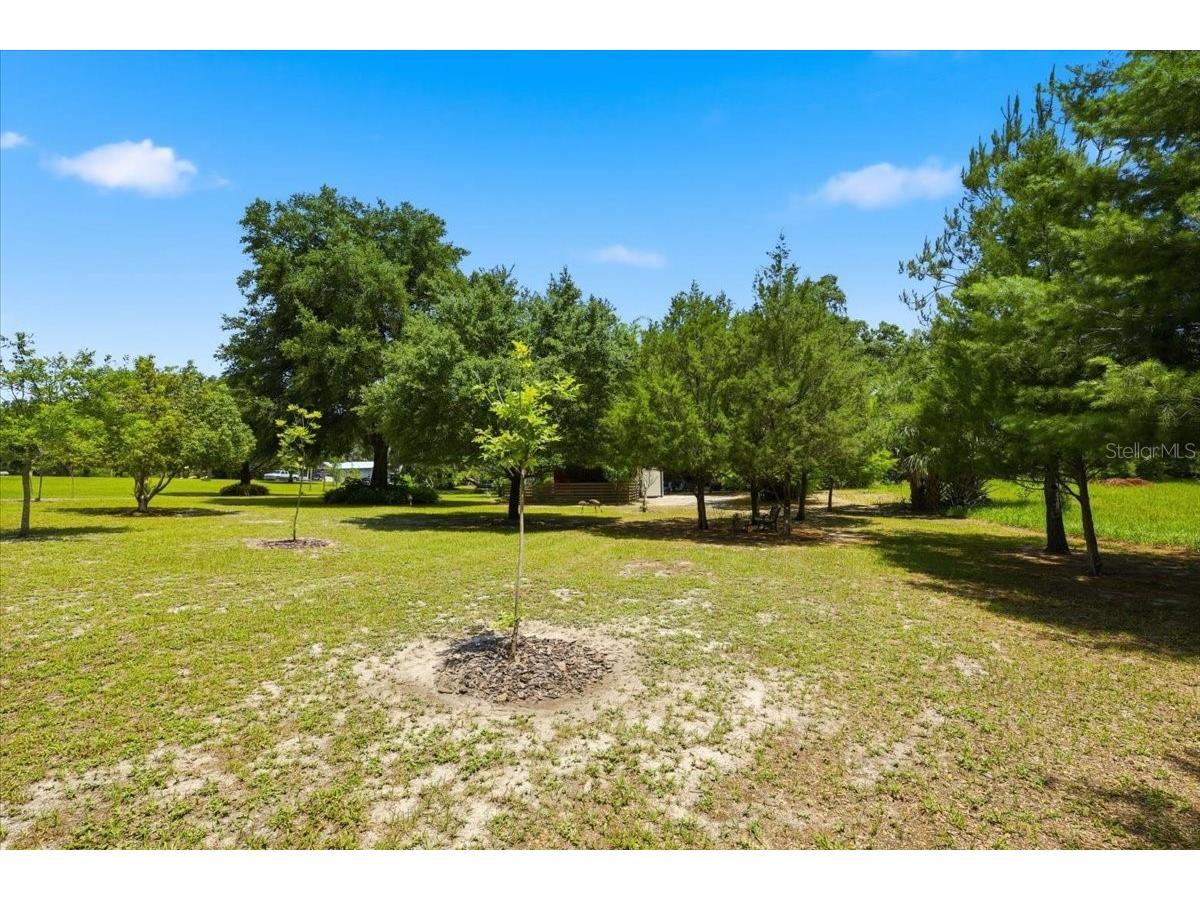 460 Lake Como Drive Pomona Park FL 32181 FC319074 image25