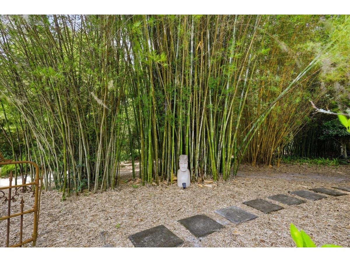 460 Lake Como Drive Pomona Park FL 32181 FC319074 image30