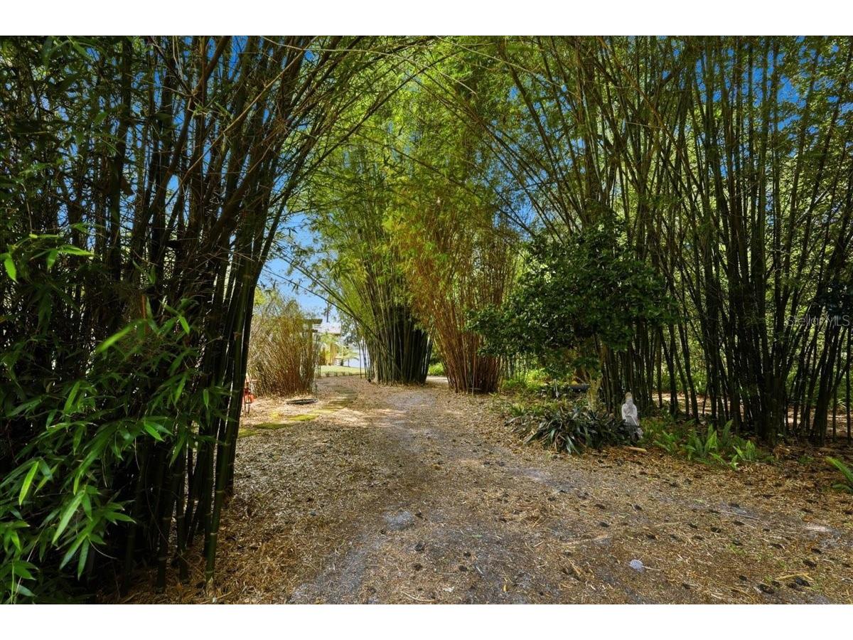 460 Lake Como Drive Pomona Park FL 32181 FC319074 image31