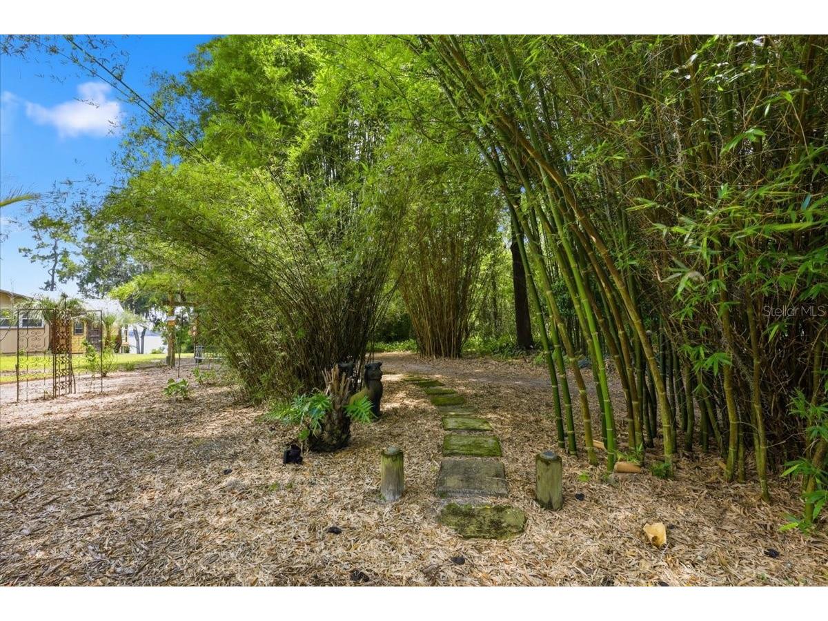 460 Lake Como Drive Pomona Park FL 32181 FC319074 image34