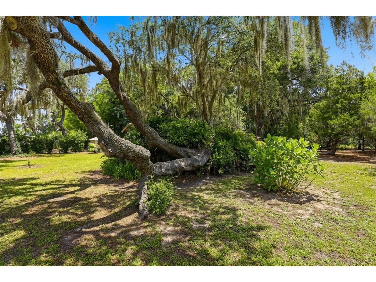 460 Lake Como Drive Pomona Park FL 32181 FC319074 image44
