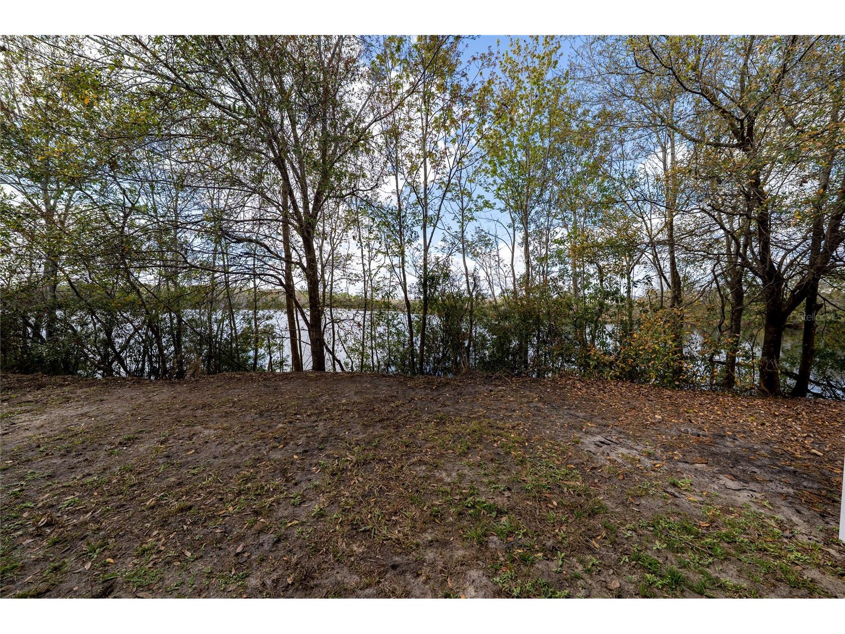 460 Lake Shore Parkway Davenport FL 33896 O6383807 image30