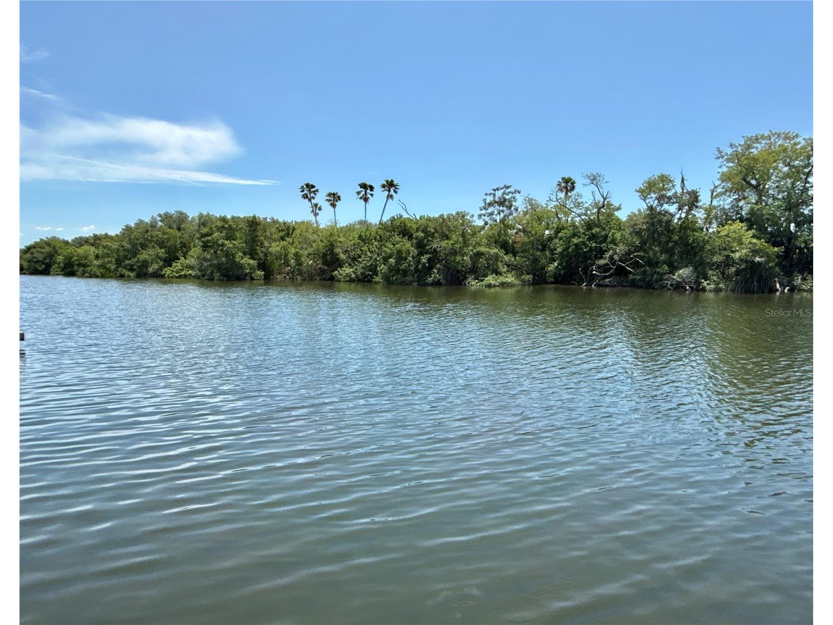 460 Mount Oak Avenue NE #745 Saint Petersburg FL 33702 - TAMPA BAY TB8503310 image1