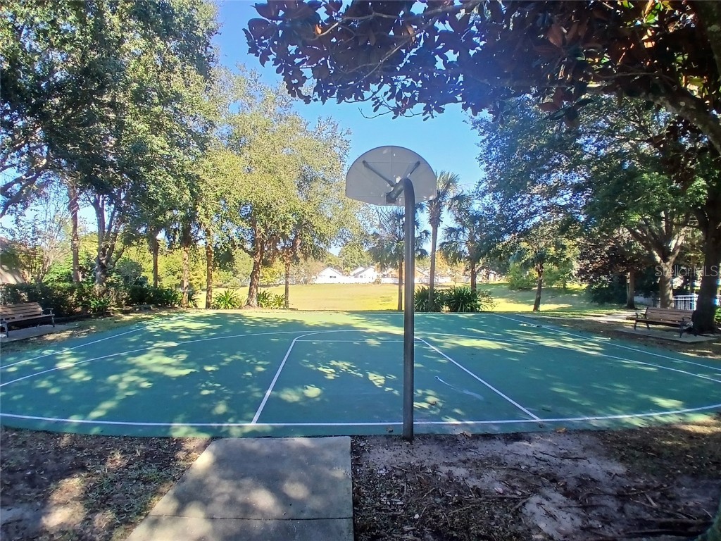 460 Nadeau Way Apopka FL 32712 O6360827 image49