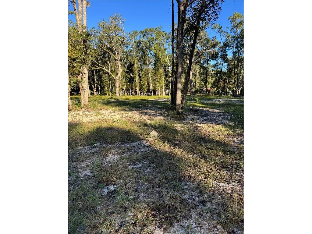 460 NE 364th Avenue Old Town FL 32680 GC534901 image1