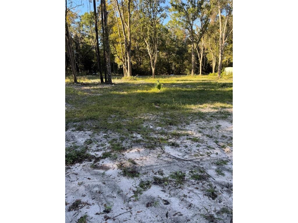 460 NE 364th Avenue Old Town FL 32680 GC534901 image2