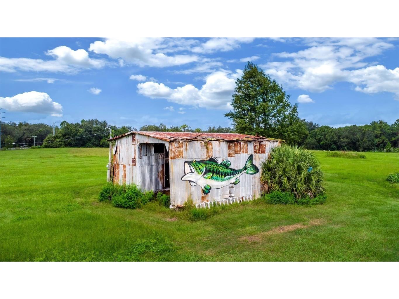 460 Old Highway 17 Crescent City FL 32112 V4944805 image19