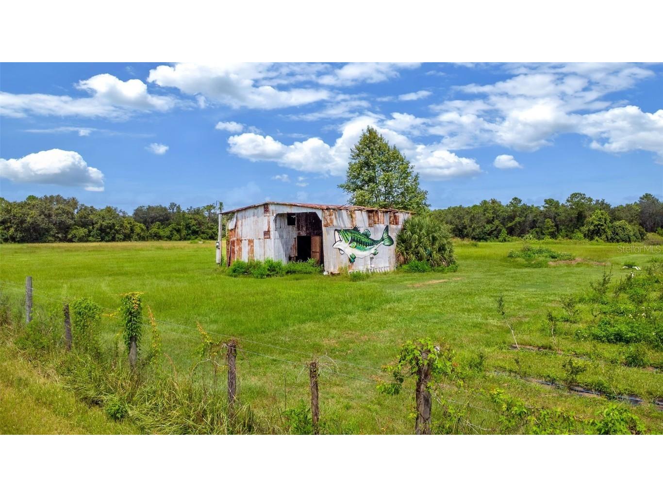 460 Old Highway 17 Crescent City FL 32112 V4944805 image26