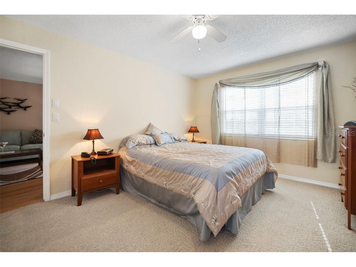 460 Paula Drive S #401 Dunedin FL 34698 TB8457620 image20