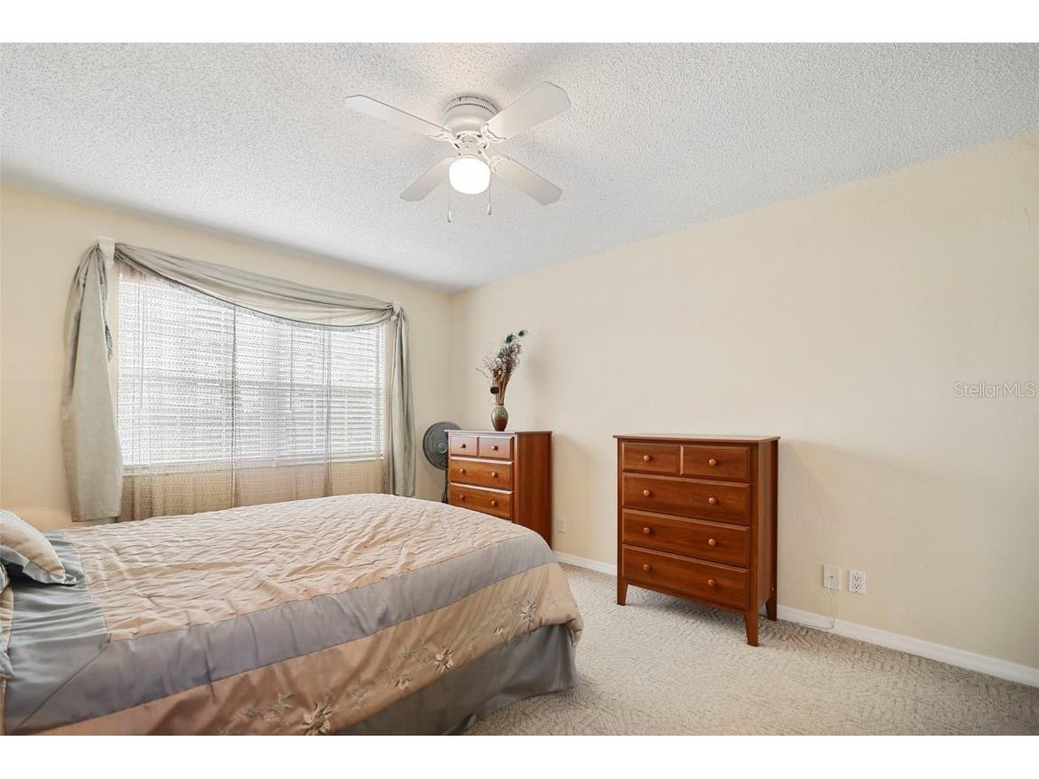 460 Paula Drive S #401 Dunedin FL 34698 TB8457620 image21